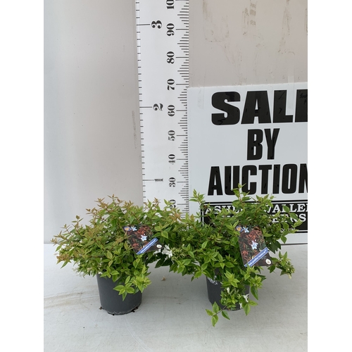 Lot 4         