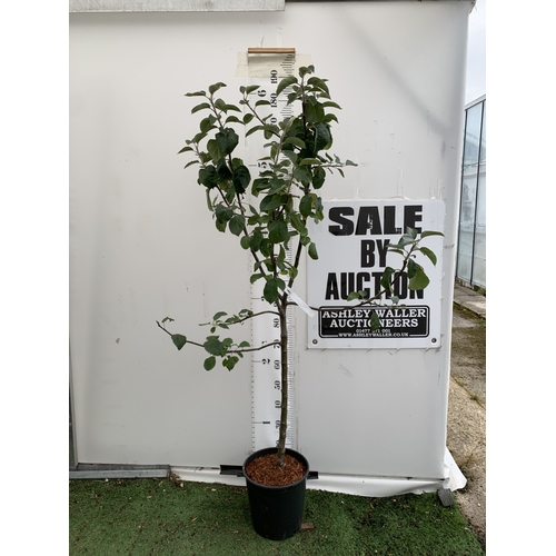 Lot 47        