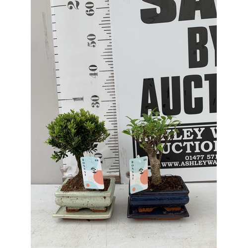 Lot 2         