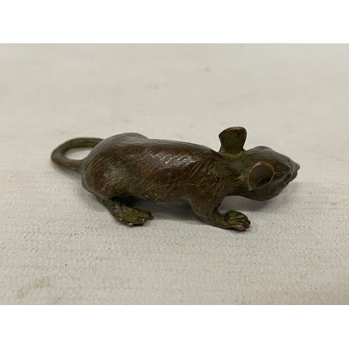 53 - A SIGNED ORIENTAL BRONZE RAT FIGURE