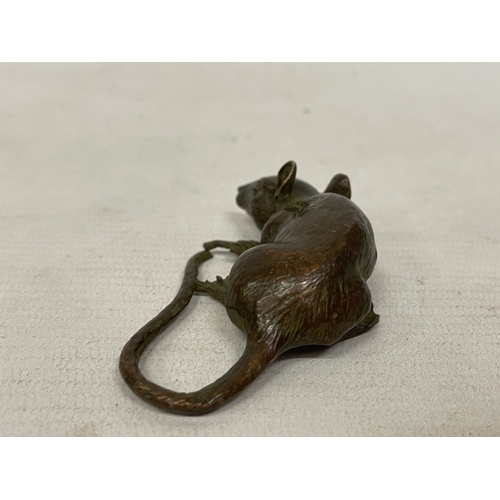 53 - A SIGNED ORIENTAL BRONZE RAT FIGURE