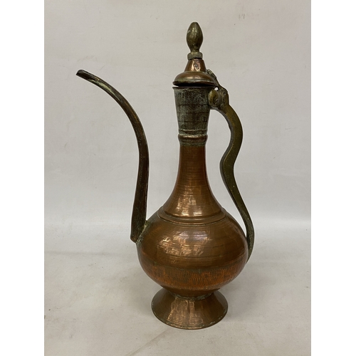 Lot 65        