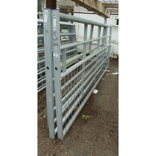 Lot 53        