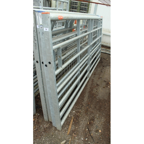 Lot 54        