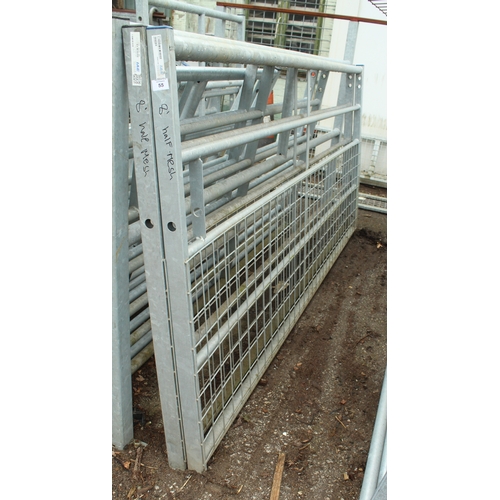 Lot 55        