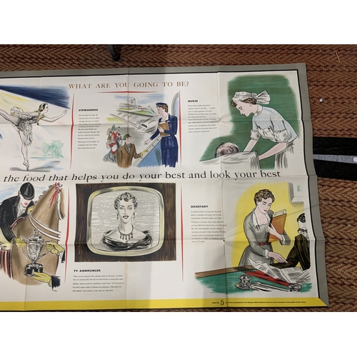 A LARGE VINTAGE MILK MARKETING BOARD EDUCATIONAL POSTER