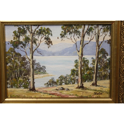 Lot 48        