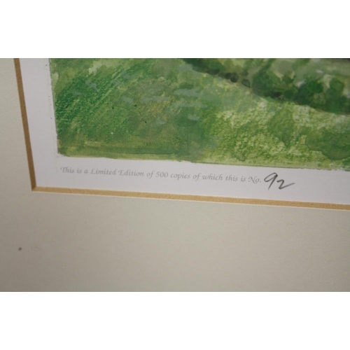 53 - A FRAMED AND GLAZED LIMITED EDITION STAFFORD CASTLE PRINT BY R SCOLLINS