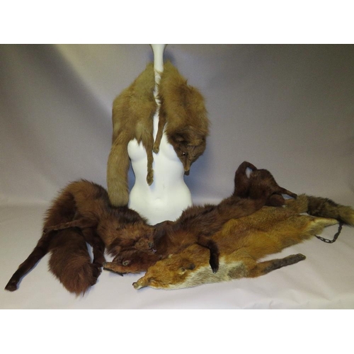 70 - FOUR VINTAGE FOX FUR STOLES