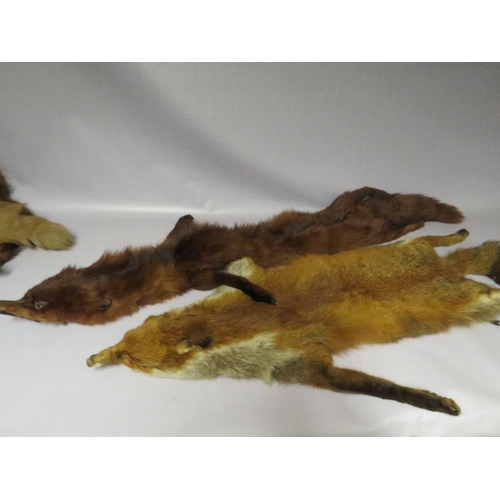 70 - FOUR VINTAGE FOX FUR STOLES