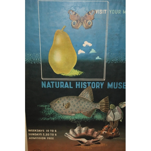 33 - A LARGE FRAMED AND GLAZED REPRODUCTION ADVERTISING POSTER OF THE NATURAL HISTORY MUSEUM - OVERALL SI... 