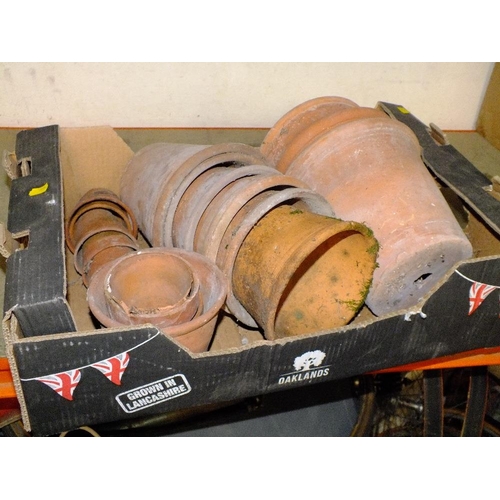 520 - A TRAY OF TERRACOTTA CERAMIC PLANT POTS ( SOME DAMAGE )