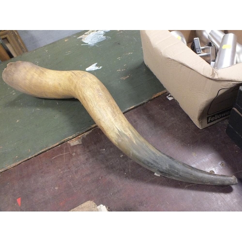 93 - A LARGE ANIMAL HORN TOGETHER WITH A BOX OF MODERN LIGHT FITTINGS