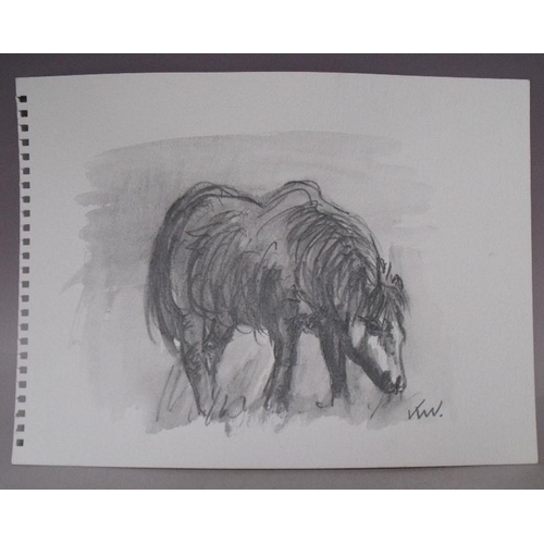 16 - CIRCLE OF JOHN KYFFIN WILLIAMS (1918-2006). Study of a pony, bears initials lower right, pencil on p... 