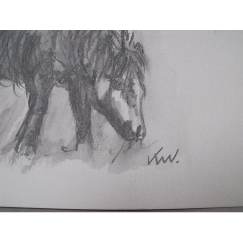 16 - CIRCLE OF JOHN KYFFIN WILLIAMS (1918-2006). Study of a pony, bears initials lower right, pencil on p... 