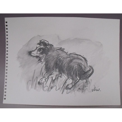 17 - CIRCLE OF JOHN KYFFIN WILLIAMS (1918-2006). Study of a dog, bears initials lower right, pencil on pa... 