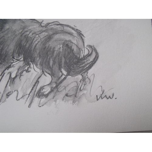 17 - CIRCLE OF JOHN KYFFIN WILLIAMS (1918-2006). Study of a dog, bears initials lower right, pencil on pa... 