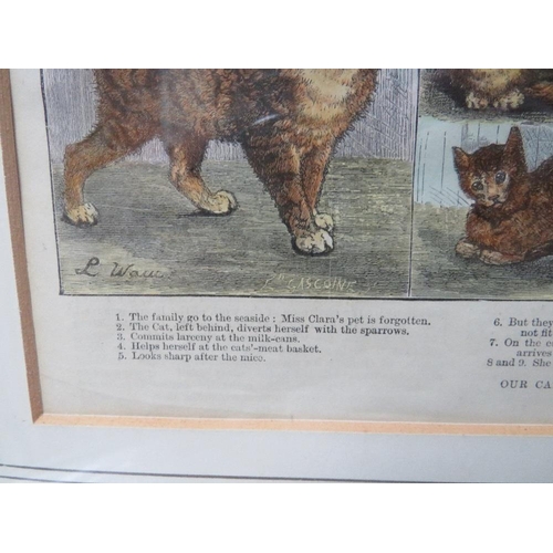 8 - CIRCLE OF LOUIS WAIN (1860-1939). A coloured antique print,'Our Cats, A Domestic History', framed an... 