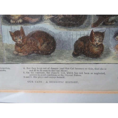 8 - CIRCLE OF LOUIS WAIN (1860-1939). A coloured antique print,'Our Cats, A Domestic History', framed an... 