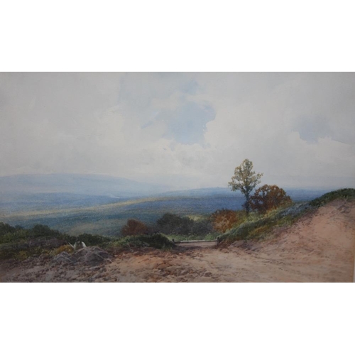 111 - FREDERICK JOHN WIDGERY (1861-1942). A hillside landscape with a figure in the foreground, signed low... 