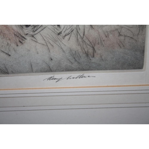 13 - HENRY WILKINSON (1921-2011). Spaniel with game, etching in colours, signed in pencil, No 71/150, fra... 