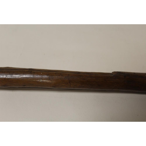 118 - A VINTAGE AUSTRALIAN ABORIGINAL THROWING CLUB, having a conical head and pointed tip, L 57 cm