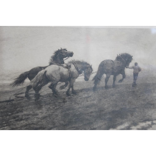 69 - HERBERT DICKSEE 1899. A ploughing scene 'The Last Furrow'. Signed with initials in plate lower right... 