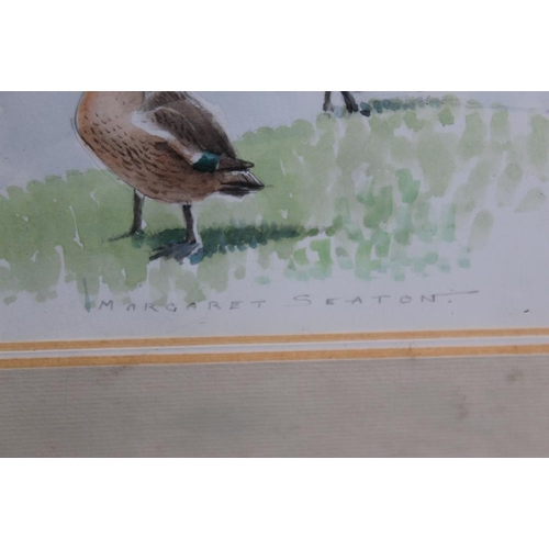 80 - MARGARET SEATON (XX). British School. Ducks at water's edge. Signed lower middle to right, watercolo... 