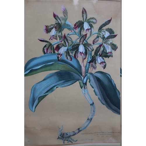 85 - A QUANTITY OF WATERCOLOURS ETC., various artists and subjects