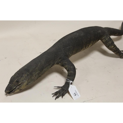 15 - TAXIDERMY - AN EARLY TWENTIETH CENTURY MONITOR LIZARD, 107 cm, together with two further examples, 7... 