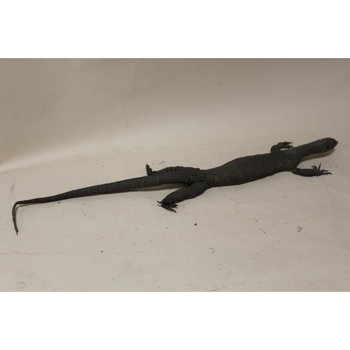 15 - TAXIDERMY - AN EARLY TWENTIETH CENTURY MONITOR LIZARD, 107 cm, together with two further examples, 7... 