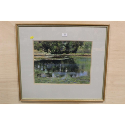 64 - A FRAMED AND GLAZED PASTEL PICTURE OF A WOODLAND POND WITH LILLIPADS SIGNED PETER THOMAS LOWER LEFT ... 