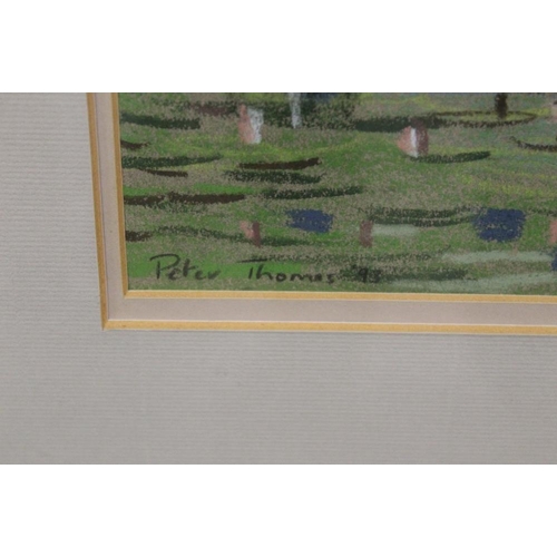 64 - A FRAMED AND GLAZED PASTEL PICTURE OF A WOODLAND POND WITH LILLIPADS SIGNED PETER THOMAS LOWER LEFT ... 