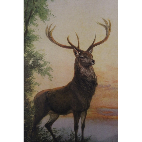 41 - A PAIR OF VINTAGE FRAMED AND GLAZED PRINTS DEPICTING STAGS - 70 X 27 CM  (2)