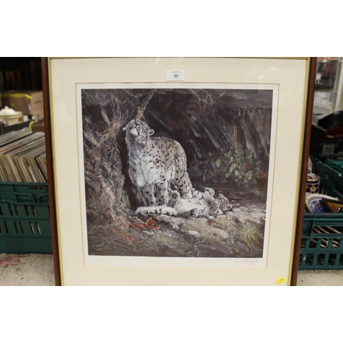 48 - DOROTHEA HYDE - A FRAMED AND GLAZED SIGNED LIMITED EDITION SNOW LEOPARD PRINT NO 8/1500 - 39 X 42 CM