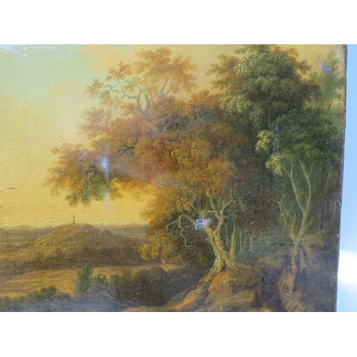 74 - (XIX). Continental school, an extensive wooded landscape, unsigned, oil on canvas, unframed, 30 x 35... 