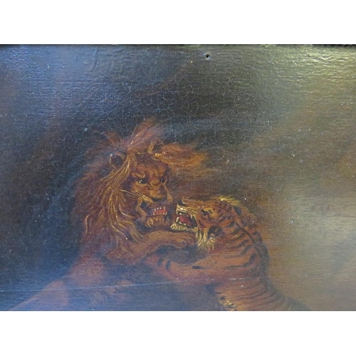 35 - (XVIII / XIX).  A study of a lion and tiger fighting, unsigned, oil on canvas laid on board, framed,... 