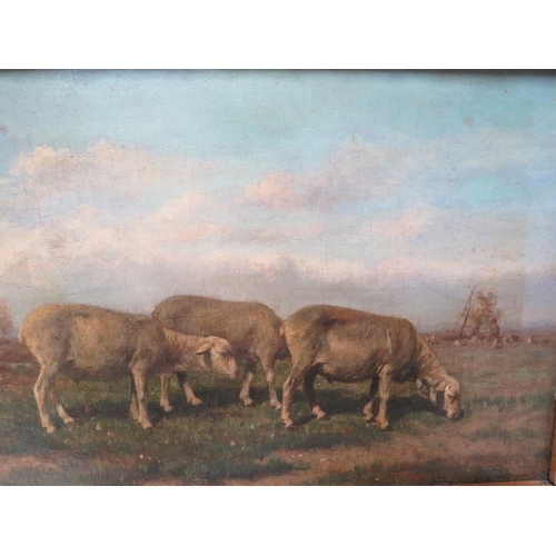 11 - (XIX). A landscape with sheep grazing, unsigned, oil on panel, framed, 19 x 27 cm