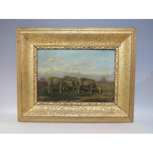 11 - (XIX). A landscape with sheep grazing, unsigned, oil on panel, framed, 19 x 27 cm