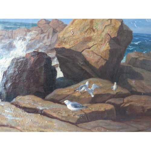 171 - (XIX). A rocky coastal shore scene with seagulls on rocks and breaking surf, indistinctly signed low... 