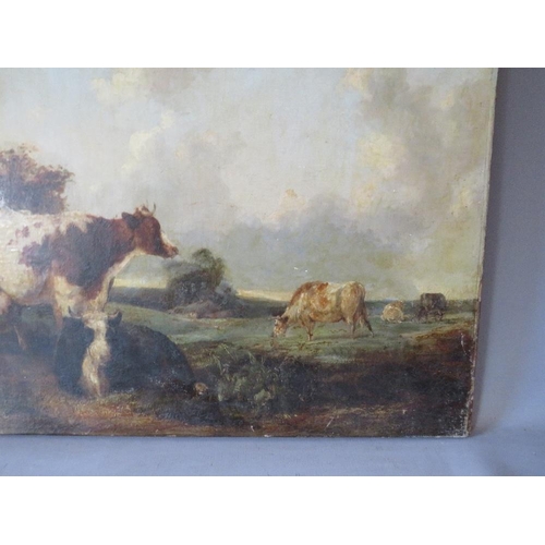 173 - (XIX). A wooded landscape with cattle resting and grazing, unsigned, oil on canvas, unframed, 63 x 7... 