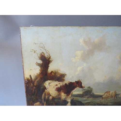 173 - (XIX). A wooded landscape with cattle resting and grazing, unsigned, oil on canvas, unframed, 63 x 7... 