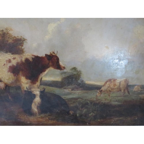 173 - (XIX). A wooded landscape with cattle resting and grazing, unsigned, oil on canvas, unframed, 63 x 7... 