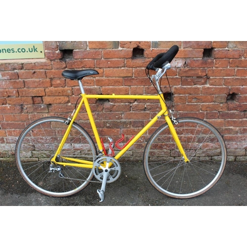 raleigh endurance bike