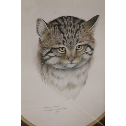 11 - A COLLECTION OF CAT RELATED PICTURES AND PRINTS COMPRISING AN OIL ON CANVAS ENTITLED 'COALHOUSE' , S... 