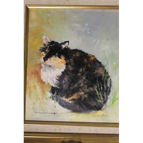 11 - A COLLECTION OF CAT RELATED PICTURES AND PRINTS COMPRISING AN OIL ON CANVAS ENTITLED 'COALHOUSE' , S... 