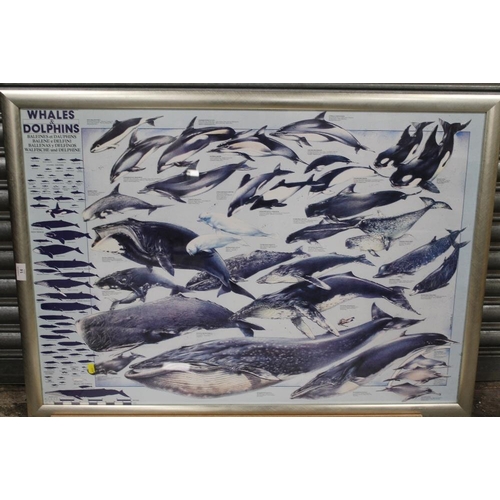 14 - A LARGE FRAMED AND GLAZED WHALES AND DOLPHINS PRINT, TOGETHER WITH AN INDISTINCTLY SIGNED FLORAL WAT... 