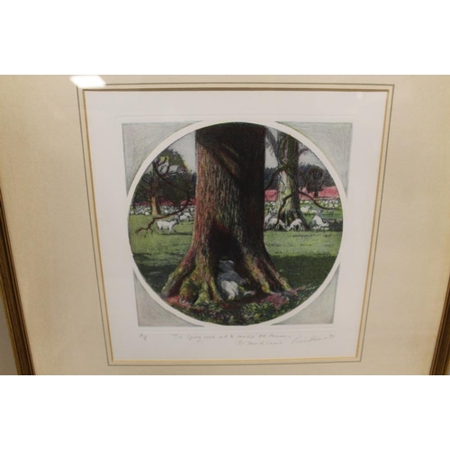 40 - A COLLECTION OF FRAMED AND GLAZED SIGNED LIMITED EDITION PRINTS TO INCLUDE AN ARTISTS PROOF AND SURR... 