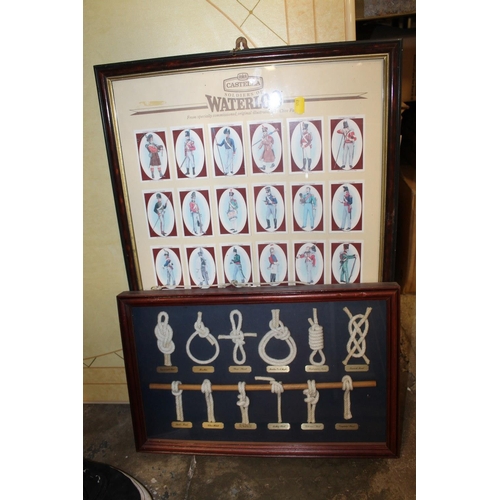 12 - A FRAMED AND GLAZED DISPLAY OF CASTELLA CIGARETTE CARDS TOGETHER WITH A FRAMED AND GLAZED KNOT DISPL... 