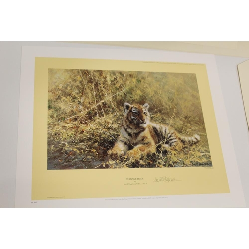 47 - AN UNFRAMED SIGNED LIMITED EDITION DAVID SHEPHERD PRINT ENTITLED 'TEENAGE TIGER' N0. 1394/1500